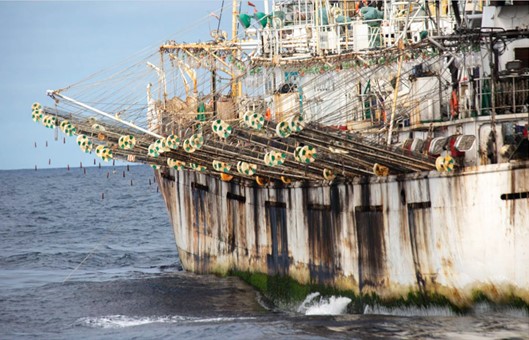 Competencia desleal: la industria pesquera se opuso de manera enfática a un puerto de servicios para barcos de China