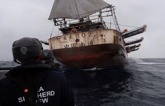 Pesca: positivo informe internacional sobre el Mar Argentino, pero sigue la depredación en la “Milla 201″