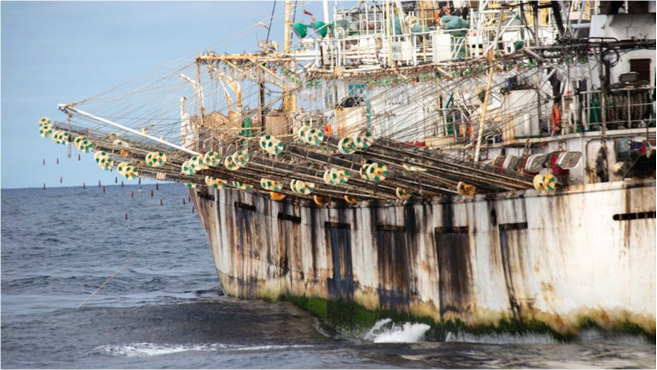 Mediante un comunicado de Intercámaras, todo el complejo pesquero argentino rechazó las declaraciones del Dr. Guillermo Carmona, secretario de Malvinas, Antártida y Atlántico Sur