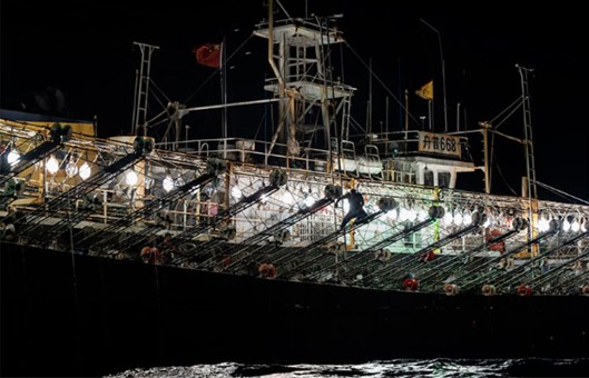 Argentina debe cambiar su política internacional en materia pesquera