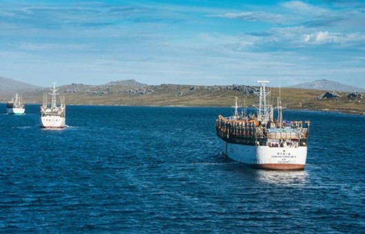 Argentina marítima bajo presión: Flota china pescando en aguas linderas y la creación del Comité Marítimo en Malvinas