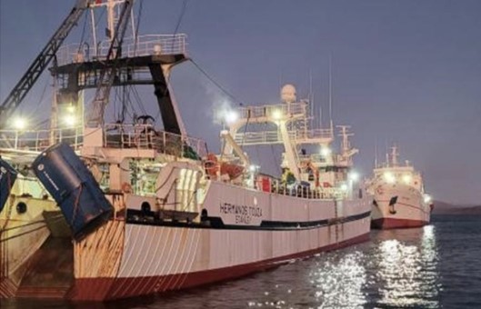 16 buques gallegos pescan calamar en aguas de Malvinas