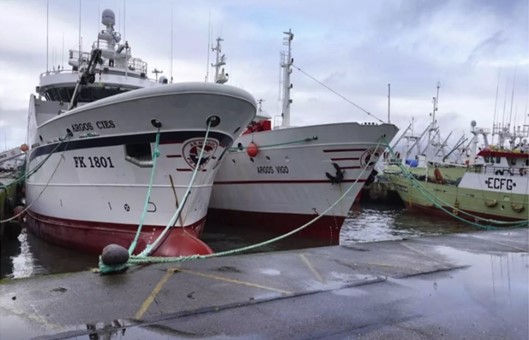 Cierran la pesca invernal del calamar en Malvinas por fuerte caída de la biomasa