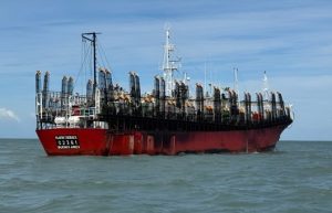 CFP rechaza los permisos de pesca de calamar solicitados por el Grupo San Isidro