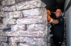 Las exportaciones de calamar no logran compensar las caídas del langostino y la merluza