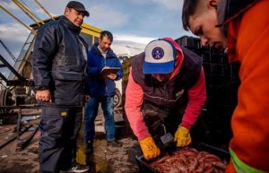 Multas: mayor accesibilidad al régimen y más cuotas