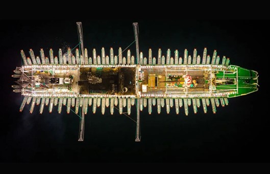 Será difícil certificar el illex argentinus por la magnitud de la pesca INDNR