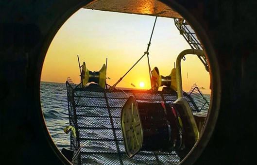 La zafra de calamar al sur del 44° comenzará el 9 de enero de 2026