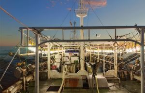 SOMU y CAPA acordaron mejoras salariales para la temporada de calamar illex argentinus 2026