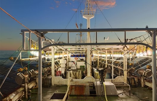 SOMU y CAPA acordaron mejoras salariales para la temporada de calamar illex argentinus 2026