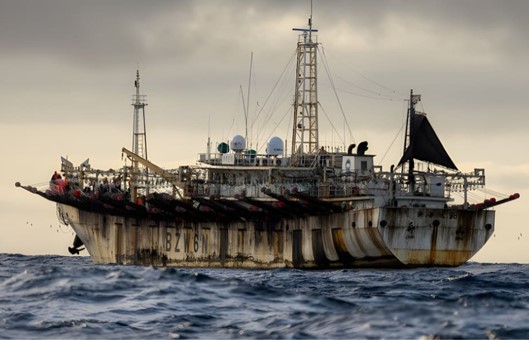 Cómo actúa el Estado argentino ante la detección de buques extranjeros en la Zona Económica Exclusiva