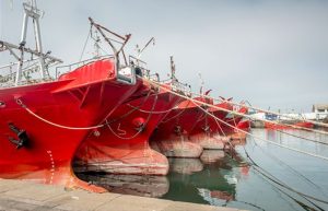 Calamar: apertura anticipada y escalonada desde el 2 de enero