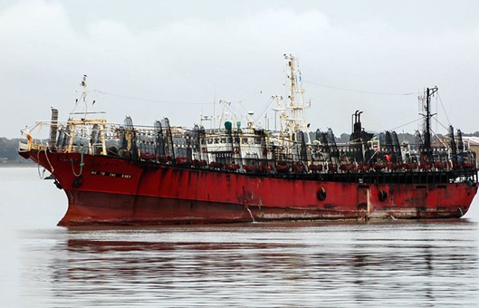 Buenas capturas en el inicio de la zafra de calamar
