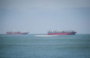 La flota potera retomó capturas de calamar al sur del 44°