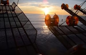 Calamar: habilitan la pesca al norte del 44°S tras los resultados de la prospección