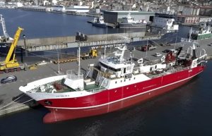 La CTMFM habilitó la pesca dirigida de calamar en la Zona Común de Pesca