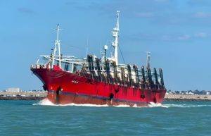 La flota potera comienza a replegarse ante la falta de calamar de tallas comerciales