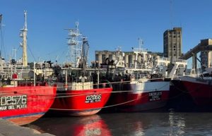 Tras caída en capturas y calidades comerciales de Calamar Illex se cierra la temporada de pesca 2026