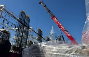 El calamar cierra otra campaña entre las más altas de los últimos años, con casi 190 mil toneladas desembarcadas