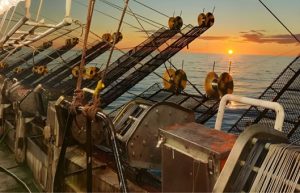 El INIDEP fundamentó que la Argentina puede capturar más calamar antes de su migración fuera de la ZEE