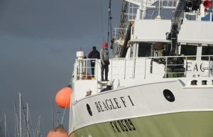 Malvinas: Cierre anticipado de la temporada de calamar más floja de los últimos cinco años