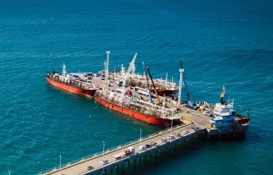 Los desembarques de calamar Illex ya superan las 150 mil toneladas