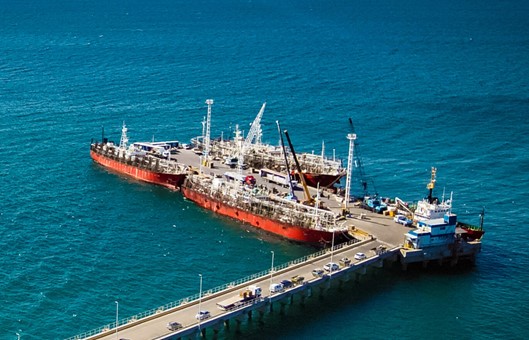 Los desembarques de calamar Illex ya superan las 150 mil toneladas