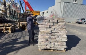 Cierran la temporada de pesca de calamar illex argentinus 2025