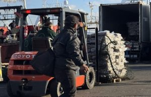 La pesquería de calamar registró su mejor temporada en casi tres décadas