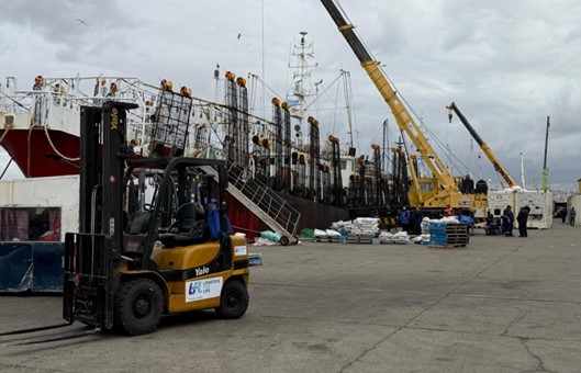 Ya se descargaron más de 15 mil toneladas de calamar por el puerto deseadense