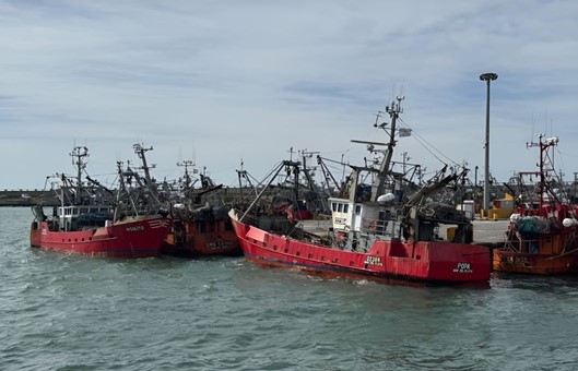 Se amplía el rechazo sectorial a los arrastreros congeladores al norte del paralelo 41° S