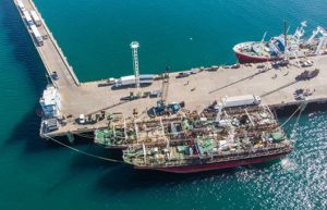 Puerto Madryn lidera los desembarques de calamar