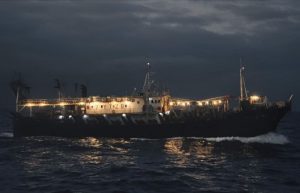 Pesca de calamar en alta mar: informe internacional advierte sobre vacíos regulatorios y compromisos globales pendientes