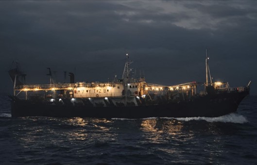 Pesca de calamar en alta mar: informe internacional advierte sobre vacíos regulatorios y compromisos globales pendientes