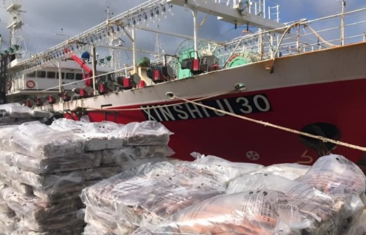 Madryn encabeza el récord temprano de descargas de calamar