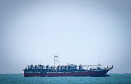 Calamar: disminuyeron las capturas del stock desovante de verano