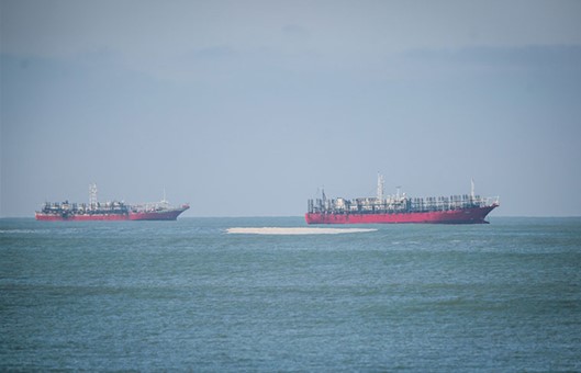La flota potera retomó capturas de calamar al sur del 44°