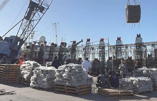 La actividad pesquera es la única fuerza que mantiene vivo el puerto de Mar del Plata