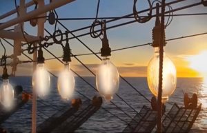 Aclaran rumor acerca de la continuidad de la temporada de pesca de Calamar Illex