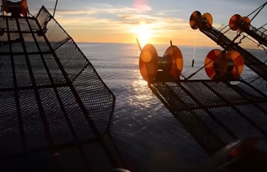 Calamar: habilitan la pesca al norte del 44°S tras los resultados de la prospección