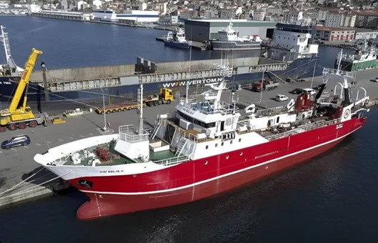 La CTMFM habilitó la pesca dirigida de calamar en la Zona Común de Pesca