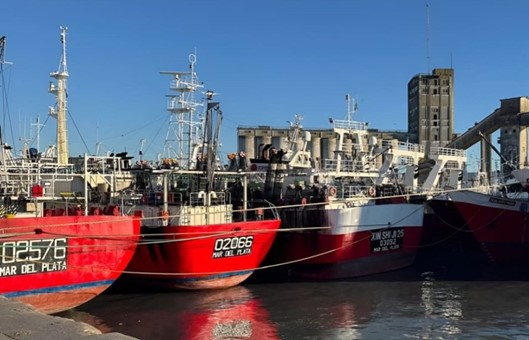 Tras caída en capturas y calidades comerciales de Calamar Illex se cierra la temporada de pesca 2026