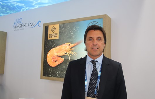 Cerró la zafra de calamar con capturas que rondan las 180 mil toneladas