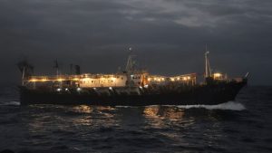 La caída del Calamar Illex reduce la presencia de la flota extranjera en la milla 201