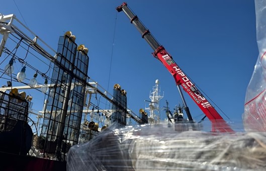 El calamar cierra otra campaña entre las más altas de los últimos años, con casi 190 mil toneladas desembarcadas