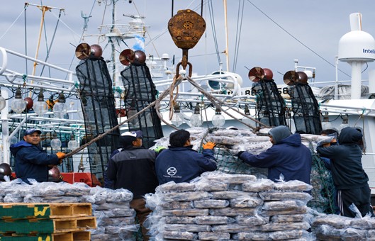 Argentina exportó productos pesqueros por USD867 millones en el primer cuatrimestre