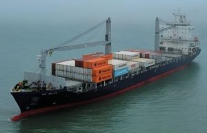 El récord de importaciones en China potencia las ventas de calamar Argentino