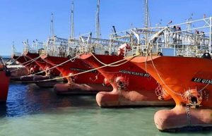 El IPI pesquero cayó en mayo y reflejó el cierre anticipado de la zafra de calamar