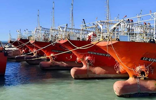 El IPI pesquero cayó en mayo y reflejó el cierre anticipado de la zafra de calamar