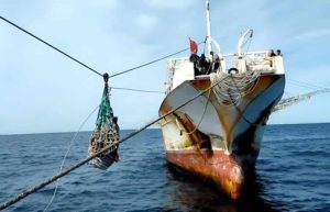 Es ley en Argentina el acuerdo que refuerza el control portuario contra la pesca ilegal